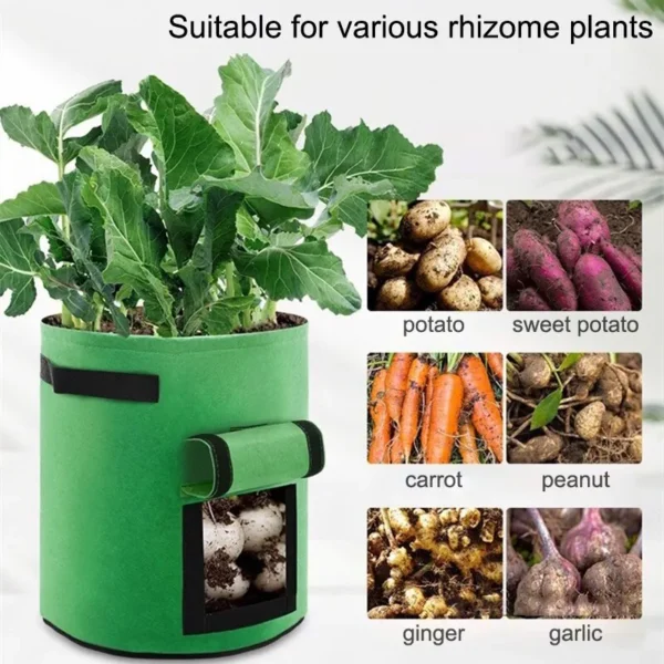 1PC Felt Potato Planting Bag Large Diameter Vegetable Plant Seedling Bag Non-Woven Felt Potato Growing Bucket - obrazek 4